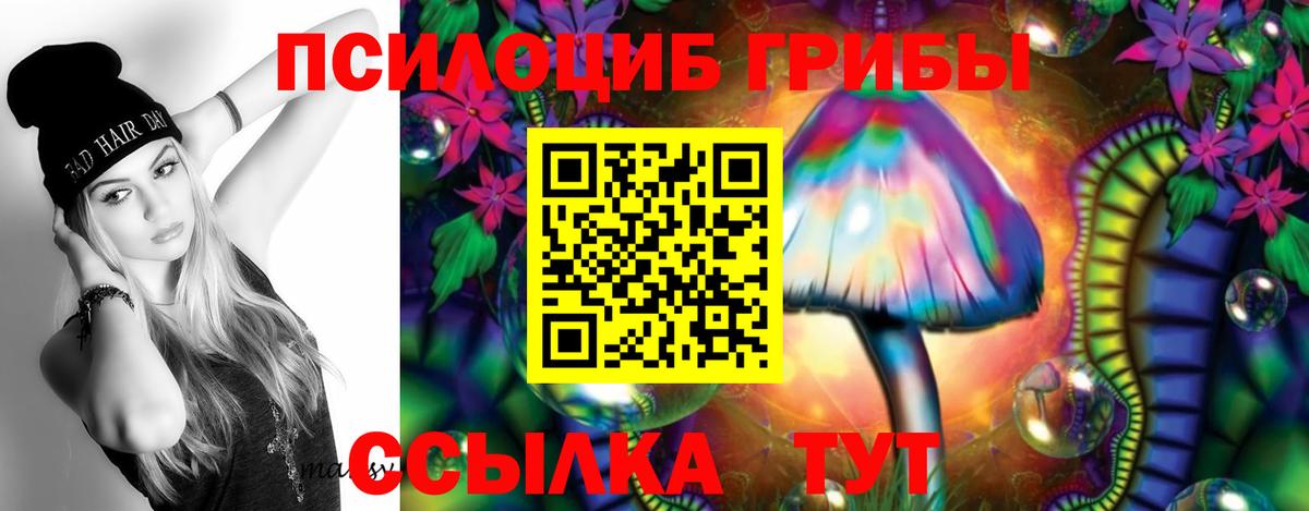 Псилоцибиновые грибы прущие грибы Семилуки